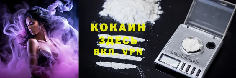 Cocaine 98%  Бакал 